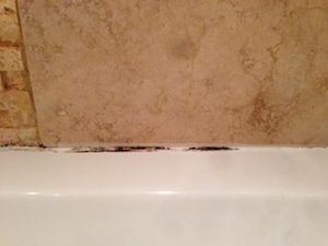 Removing Bathroom Mould Step 1