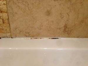 Removing Bathroom Mould Step 2