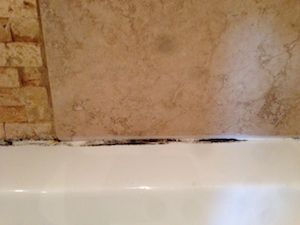 Removing Bathroom Mould