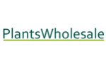 Plants Wholesale